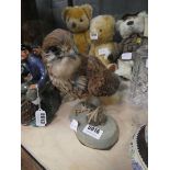 Taxidermists Kestrel with mouse