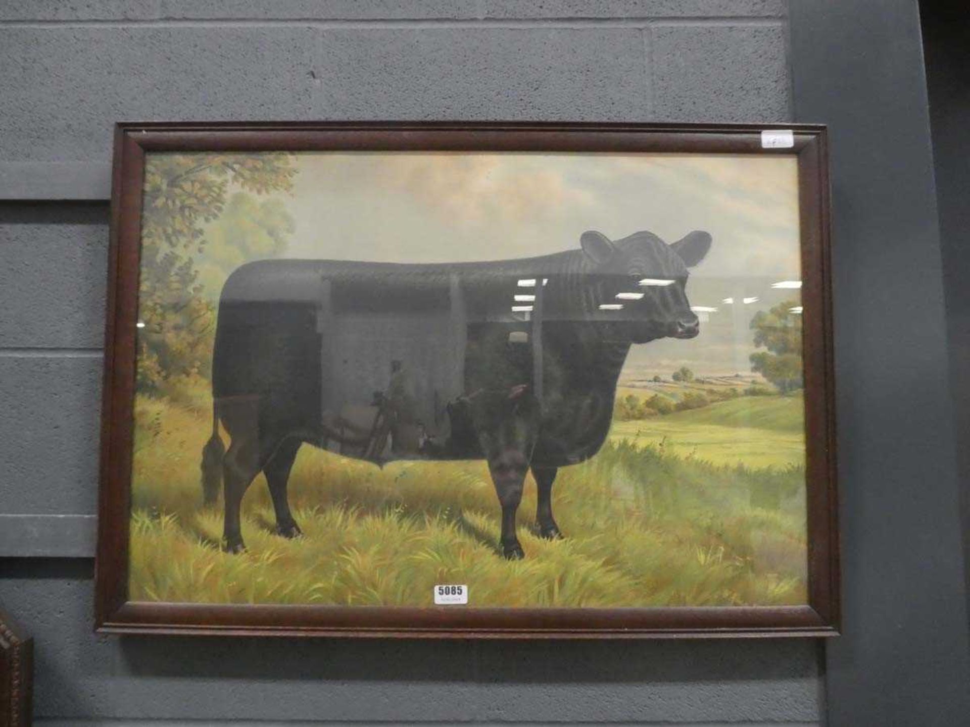 Print of a cow