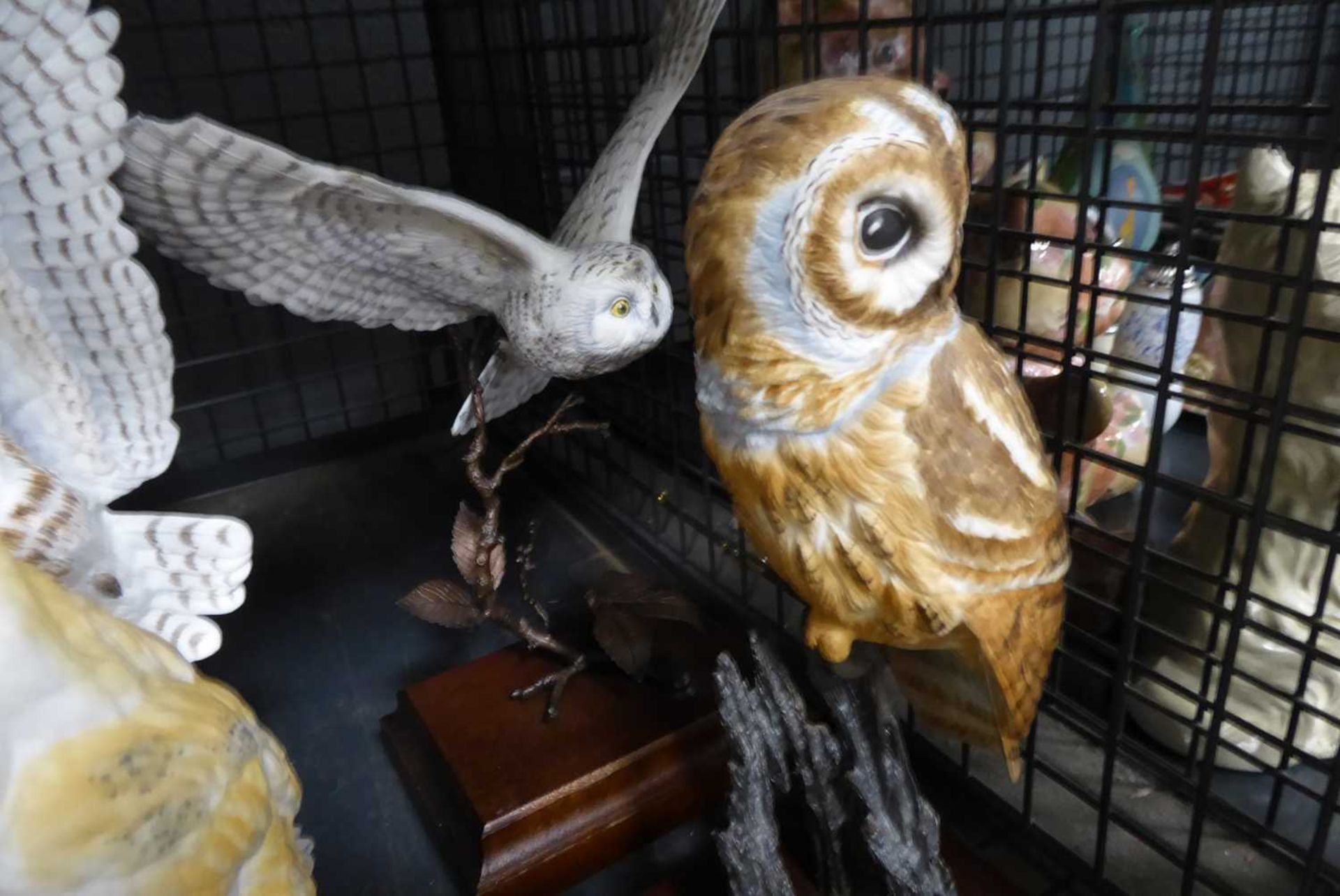 Cage containing owl and other raptor ornaments - Image 13 of 13