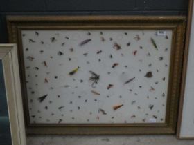 Framed wall hanging, Trout and Salmon flies