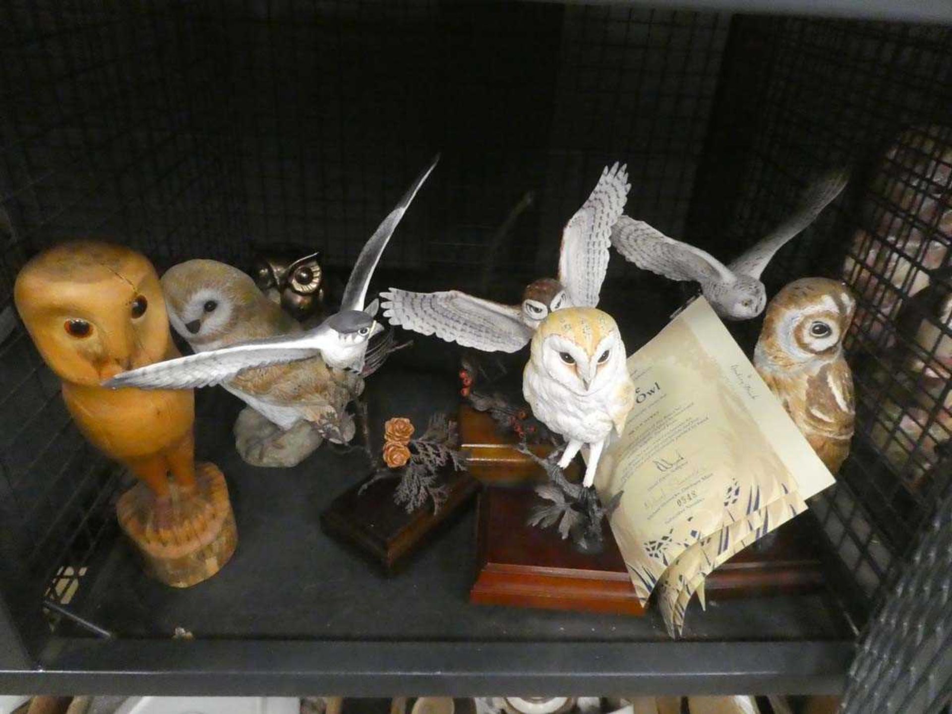 Cage containing owl and other raptor ornaments