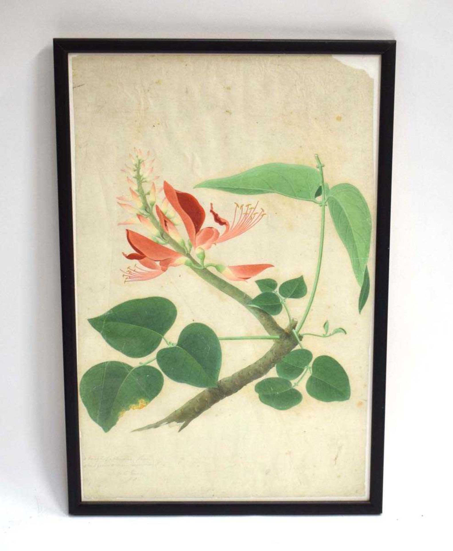 Four Chinese paintings on silk, each depicting floral blooms and insects, max. 16 x 23.5 cm, - Image 2 of 13