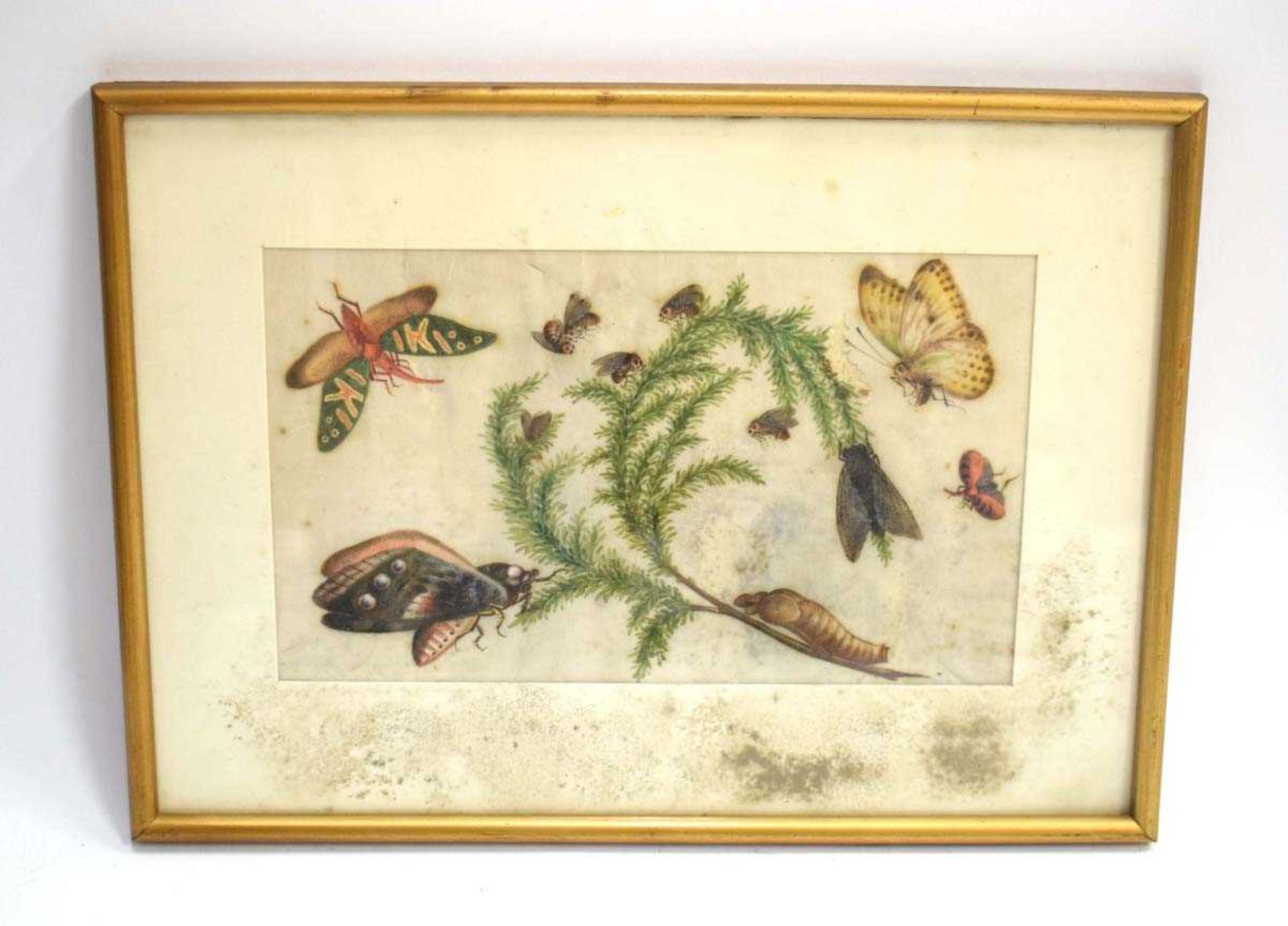 Four Chinese paintings on silk, each depicting floral blooms and insects, max. 16 x 23.5 cm, - Image 8 of 13