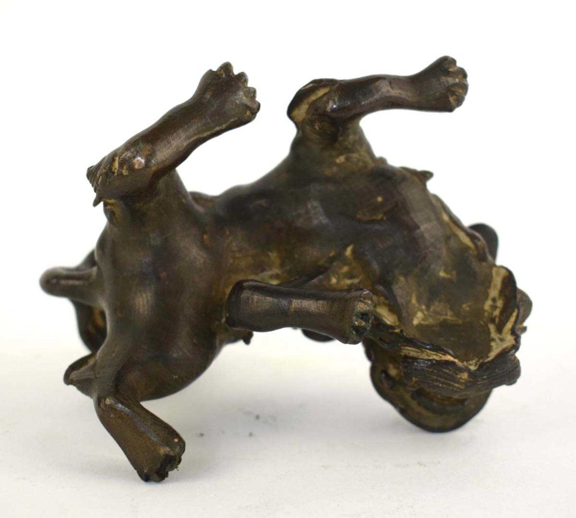 A Chinese brown patinated bronze figure modelled as a foo dog, h. 10.5 cm, d. 8.5 cm, 730 gms * - Bild 4 aus 5