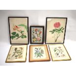 Four Chinese paintings on silk, each depicting floral blooms and insects, max. 16 x 23.5 cm,