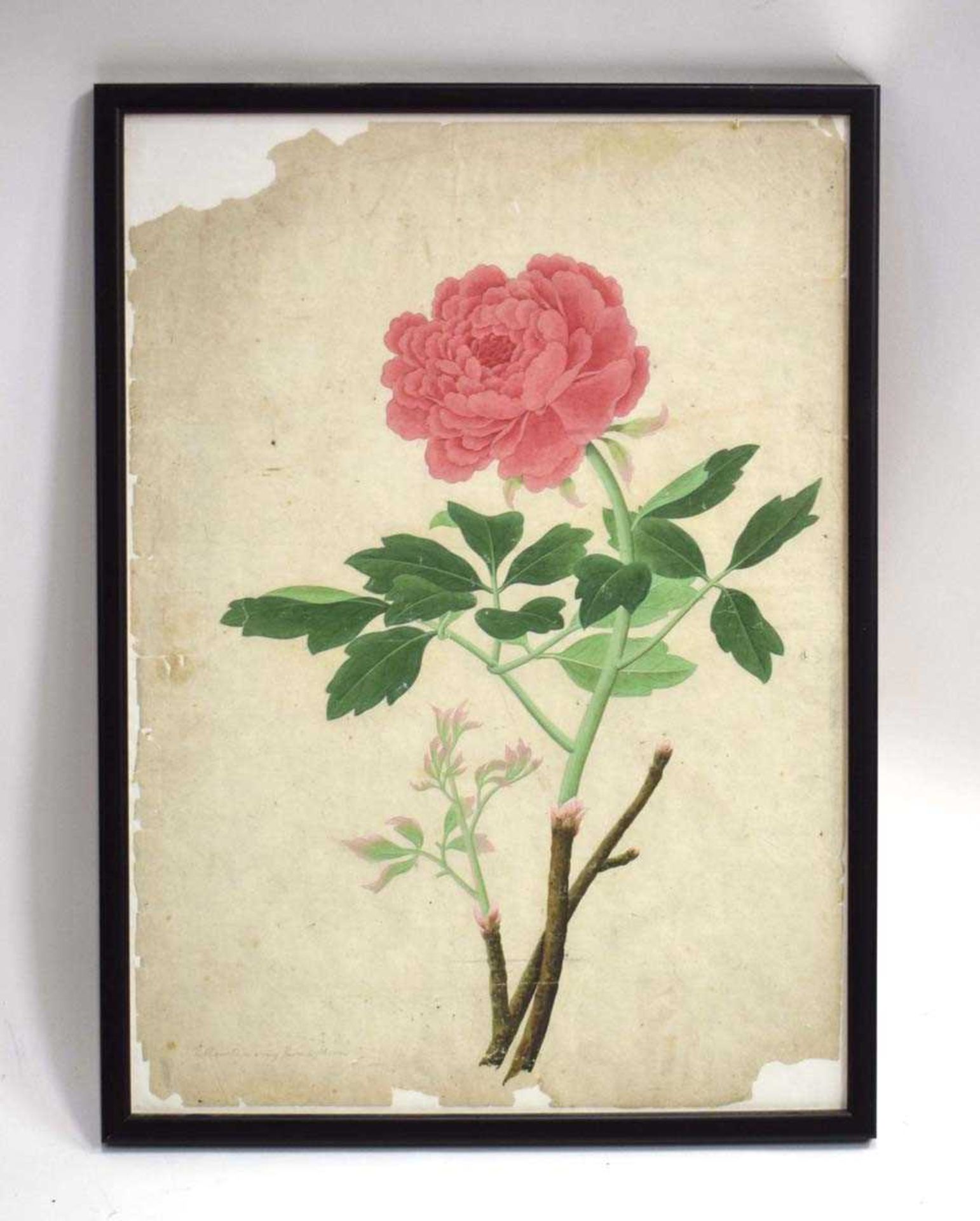 Four Chinese paintings on silk, each depicting floral blooms and insects, max. 16 x 23.5 cm, - Image 4 of 13