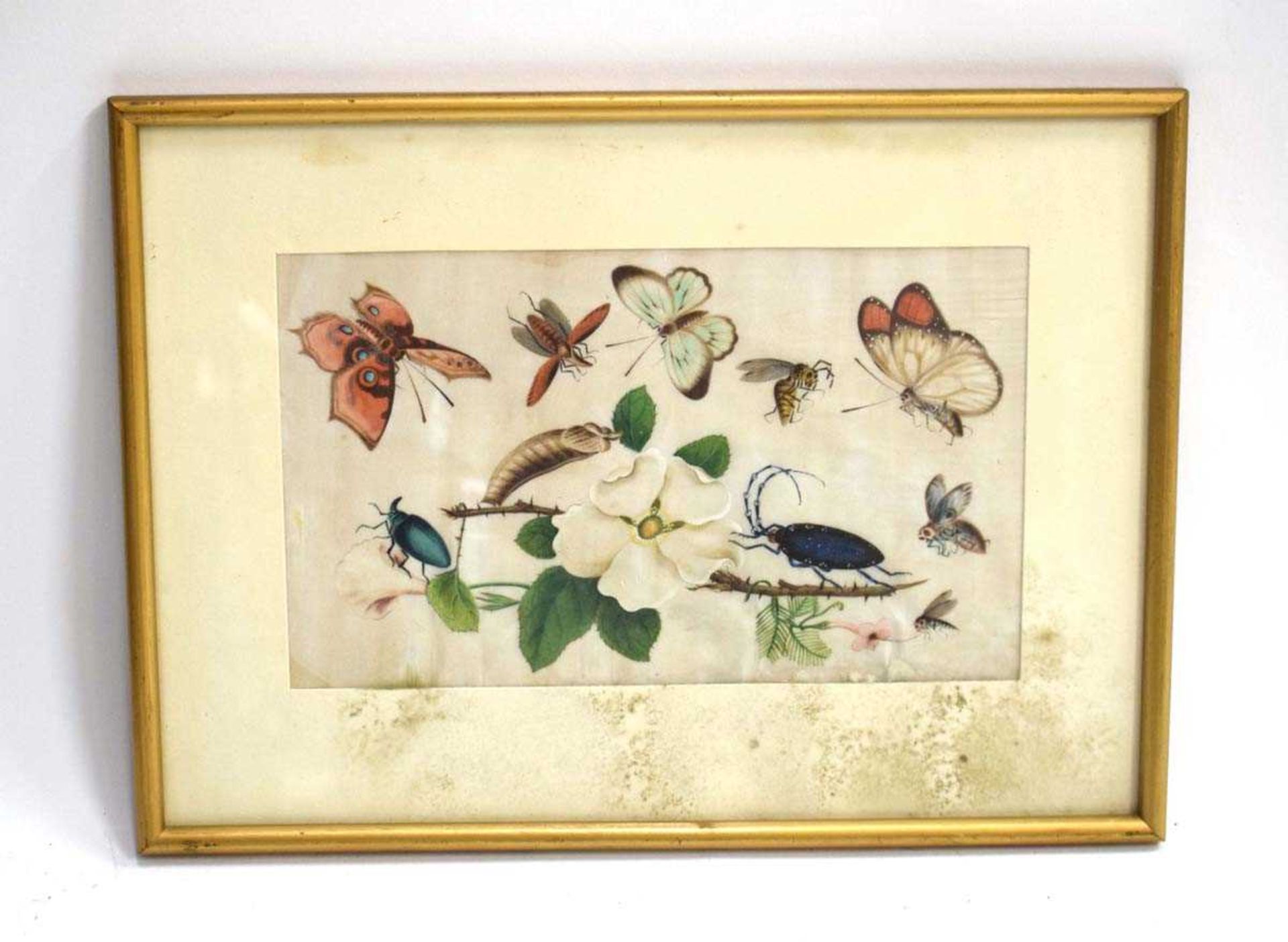 Four Chinese paintings on silk, each depicting floral blooms and insects, max. 16 x 23.5 cm, - Image 12 of 13