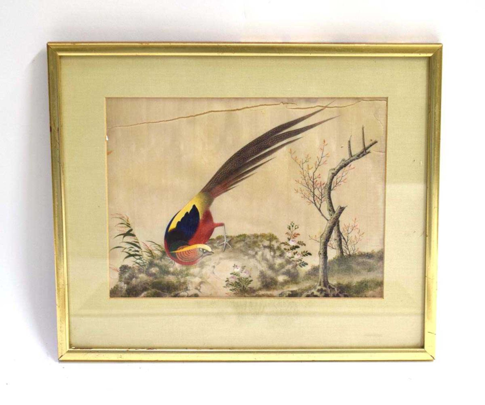 Three Chinese paintings on silk, each depicting an exotic bird, max 18 x 24.5 cm, together with a - Bild 2 aus 5