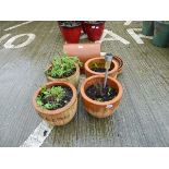 4 terracotta pots, chimney calling and saucers
