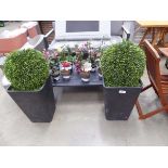 +VAT 2 artificial buxus style balls in grey pots