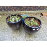 2 black and gold pots together with green pot
