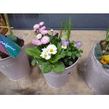 Pink metal pot containing assorted flower arrangement