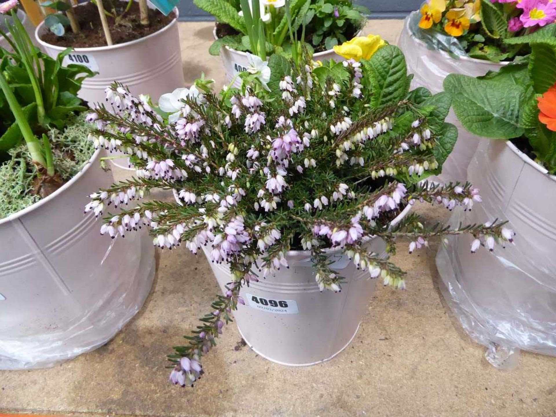 Pink metal pot containing assorted flower arrangement