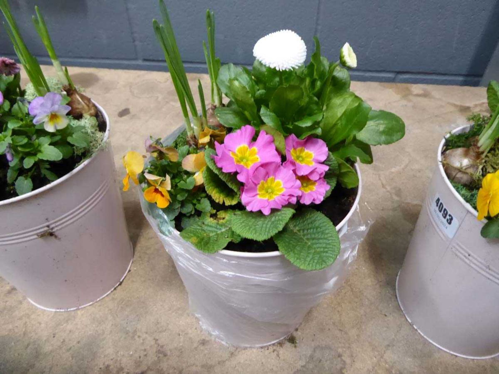 Pink metal pot containing assorted flower arrangement