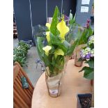 +VAT Yellow Calla Lily