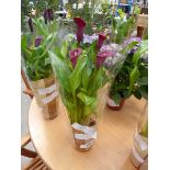 +VAT Purple Calla Lily