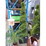 +VAT Spiral artificial conifer