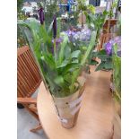 +VAT Purple Calla Lily