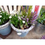 Blue wicker topped potted flower arrangement