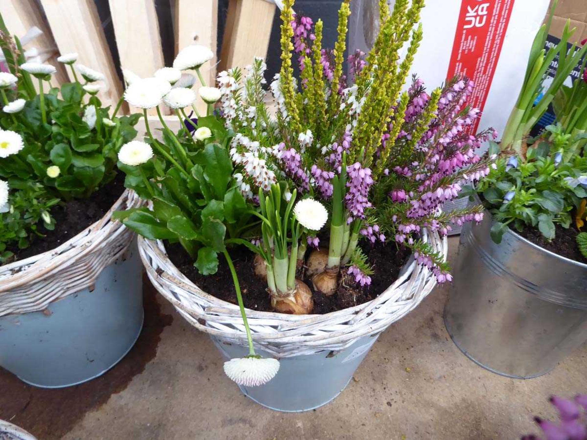 Blue wicker topped potted flower arrangement