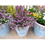 Blue wicker topped potted flower arrangement