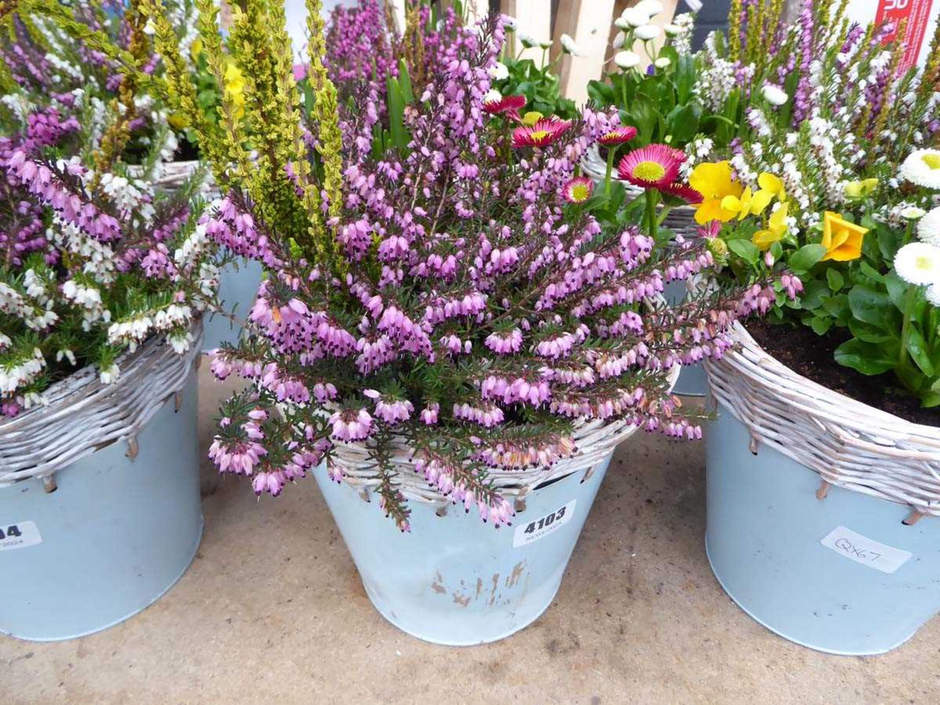 Blue wicker topped potted flower arrangement