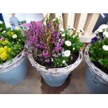 Blue wicker topped potted flower arrangement