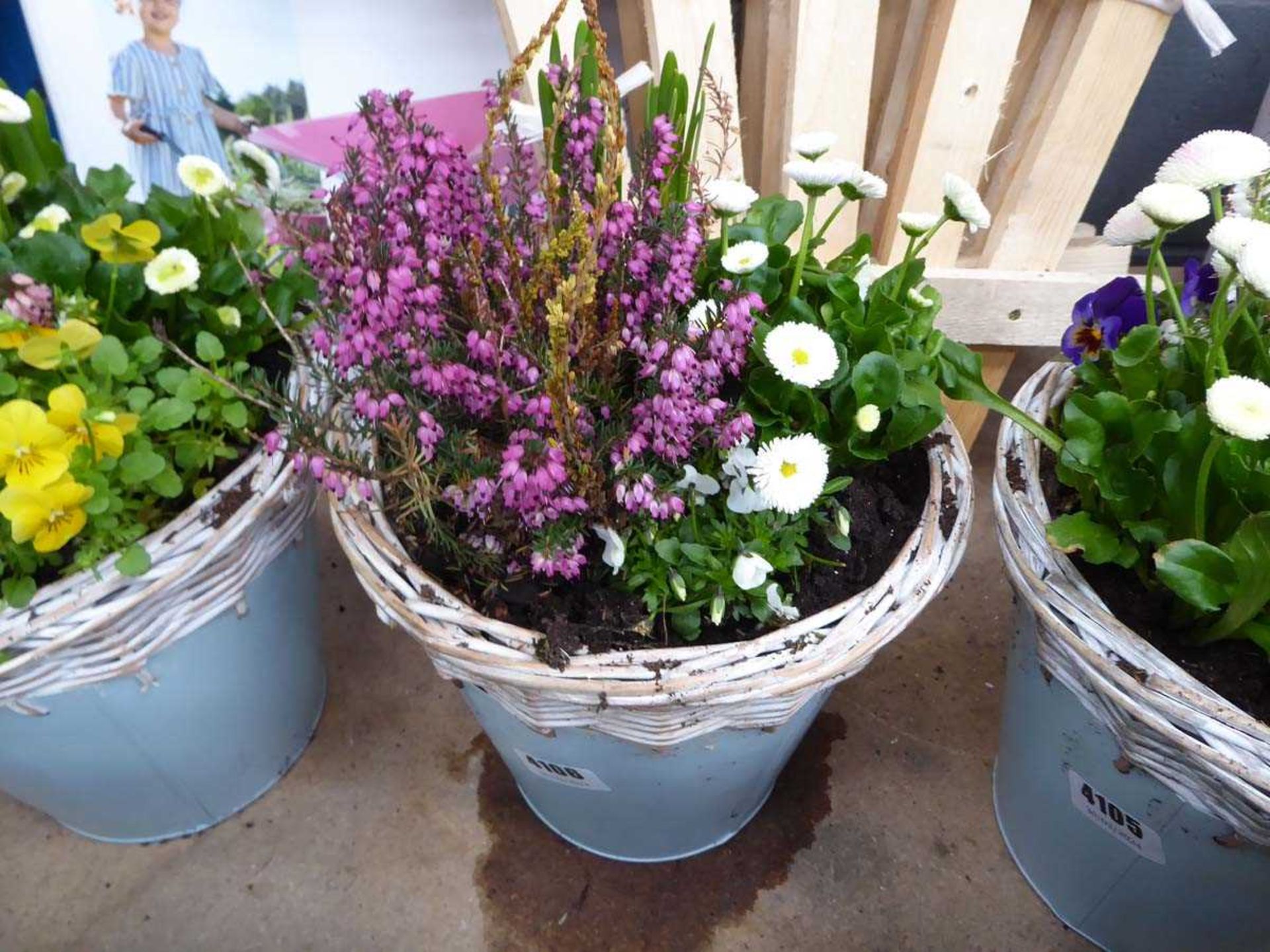 Blue wicker topped potted flower arrangement