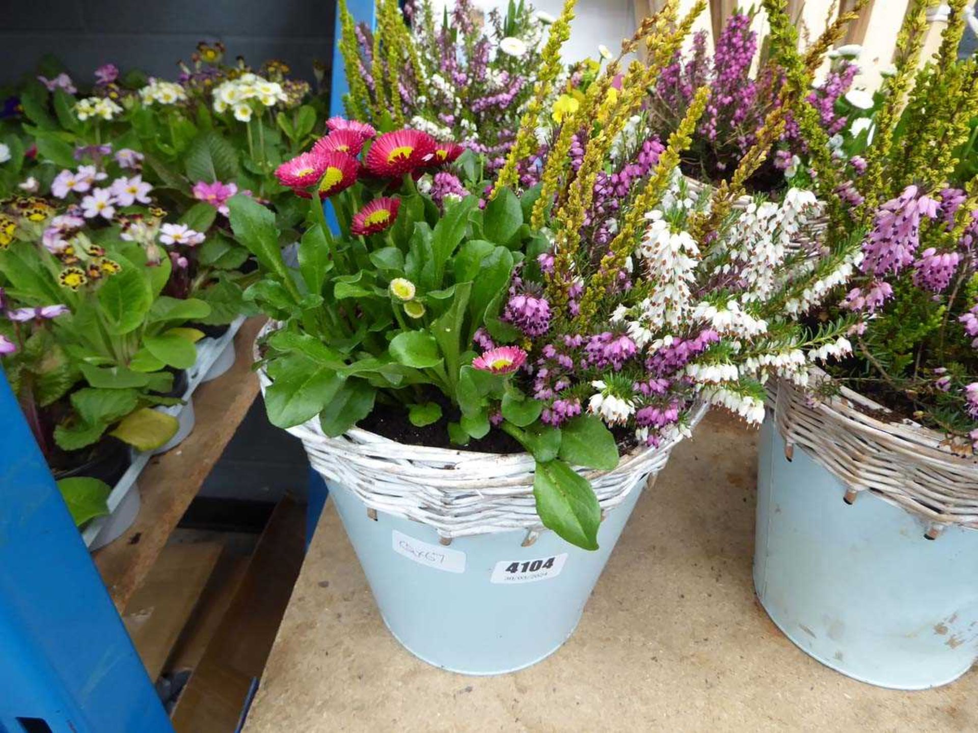 Blue wicker topped potted flower arrangement