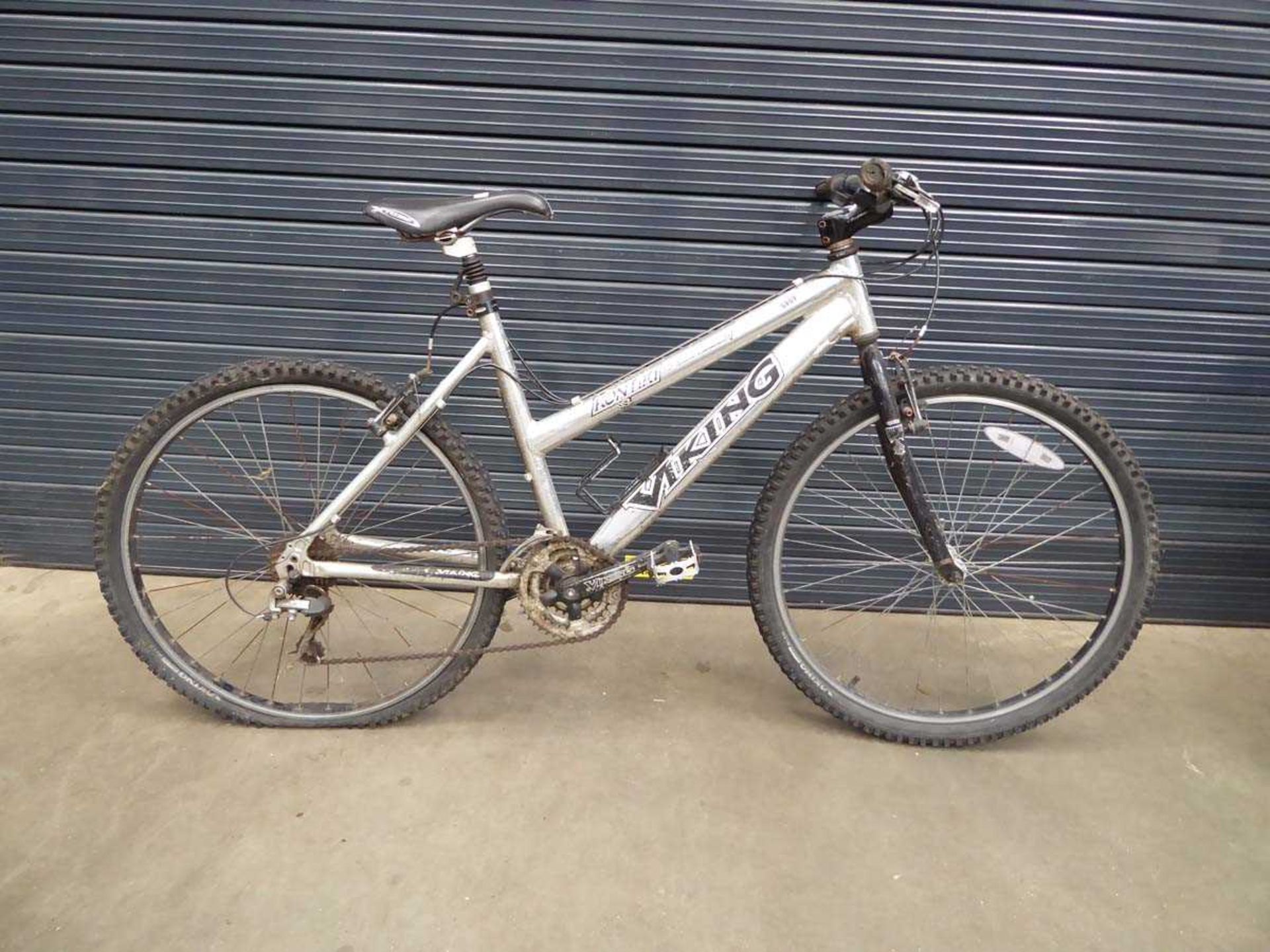 Viking silver junior mountain bike