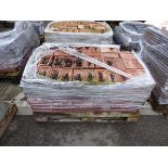 Pallet of red bricks