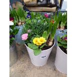 Small pink metal potted bulb arrangement