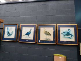 4 x framed and glazed bird prints