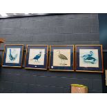 4 x framed and glazed bird prints