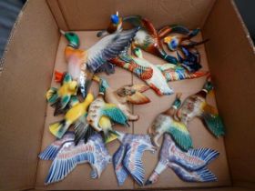 Box containing a quantity of ceramic flying ducks and other birds