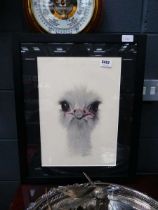 Print of an ostrich