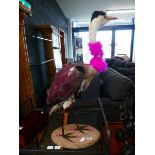 Taxidermists heron