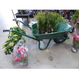 +VAT Haemmerlin green metal wheelbarrow