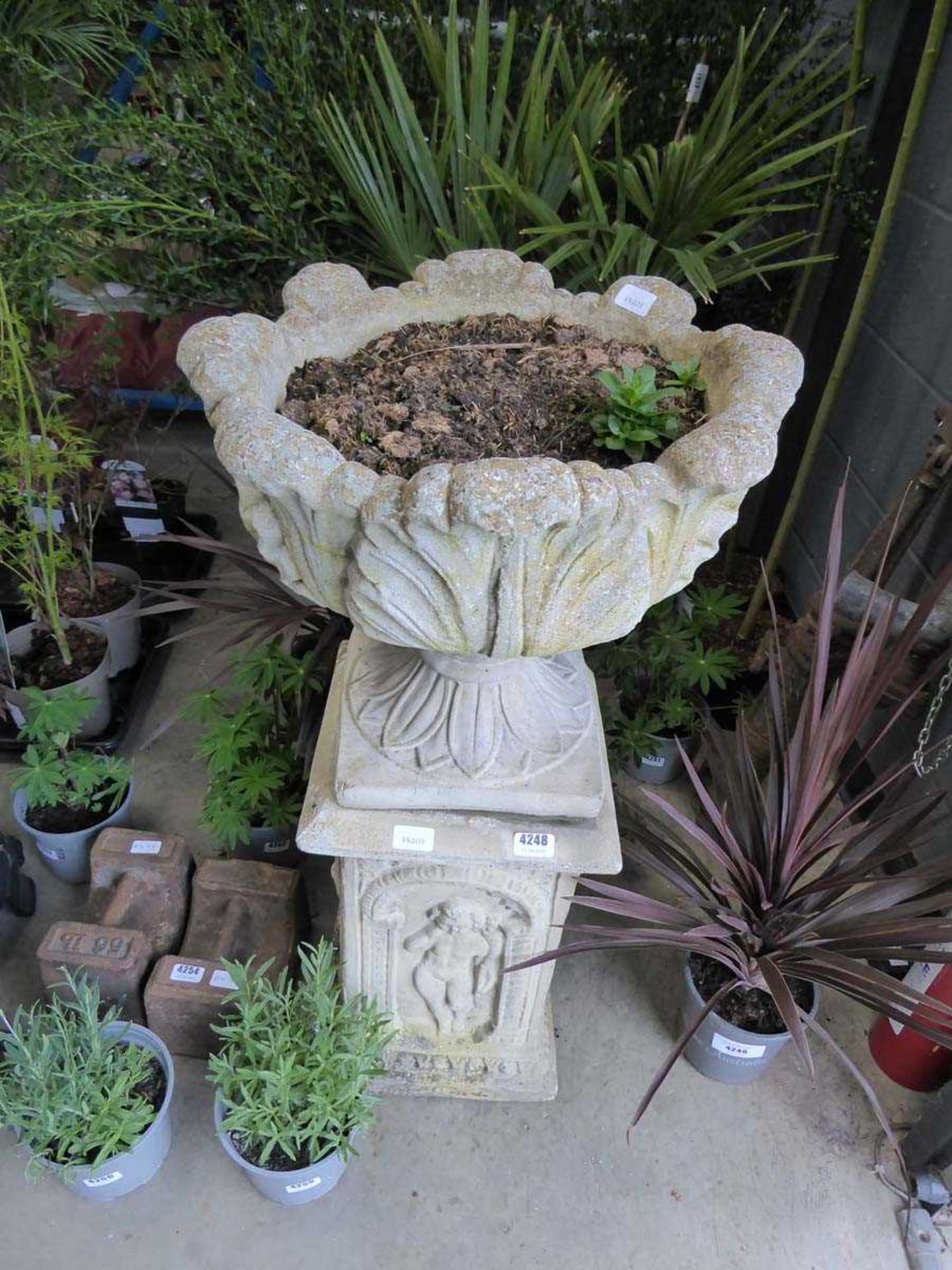 Large pot on plinth