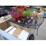 Metal mesh garden table and 2 chairs