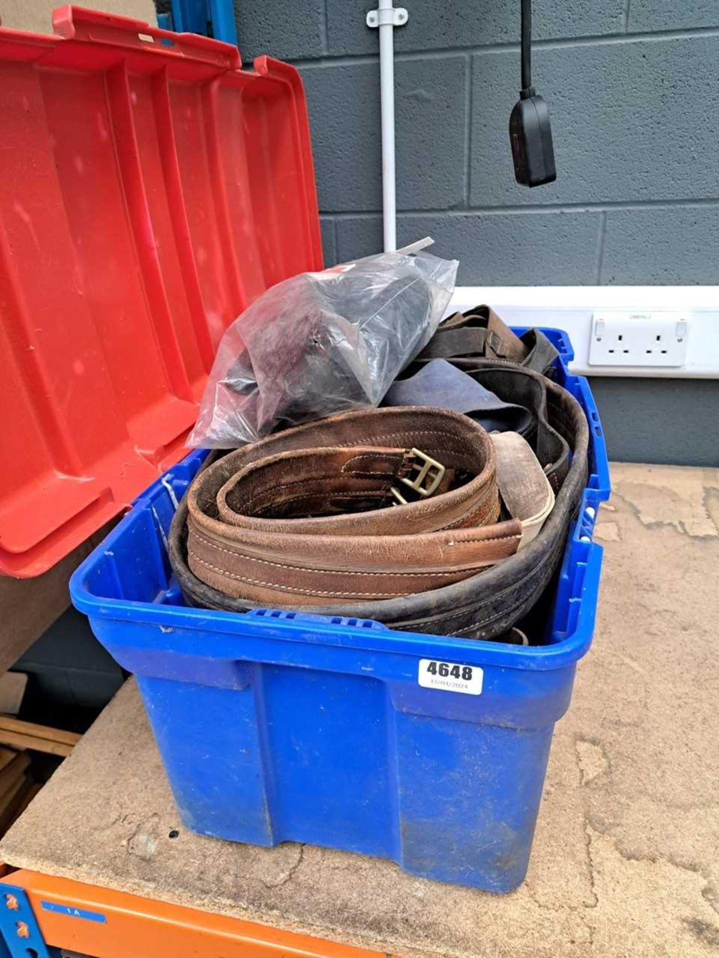 Large box containing horse tack and leg shields