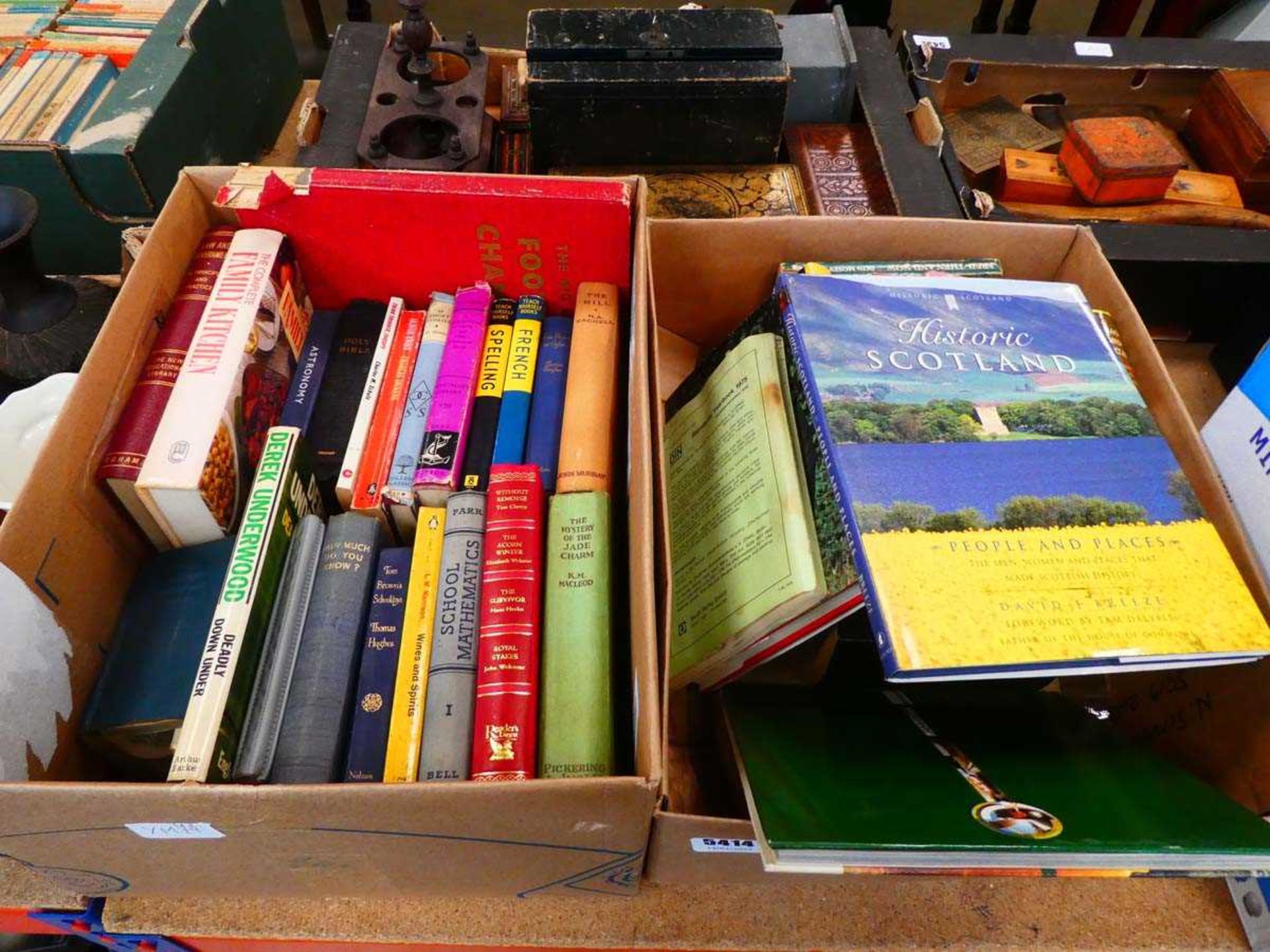 2 boxes containing travel and painting guides plus cookery books and novels