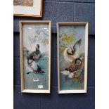 Pair of Vernon Ward prints with wild fowl