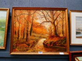 Oil on canvas - Autumn woodland with stream