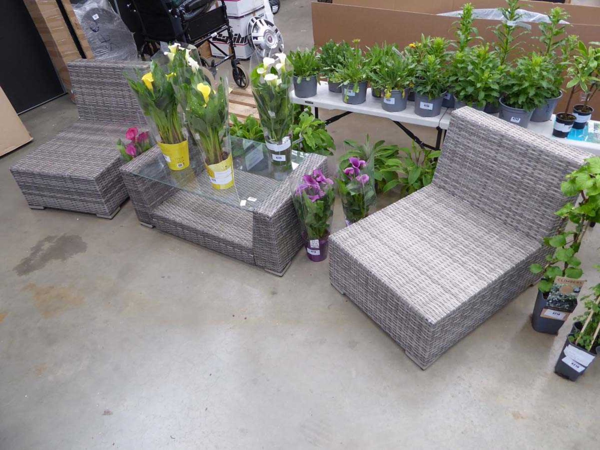 Rattan 3 piece garden set consisting of 2 chairs, glass topped table, no cushions