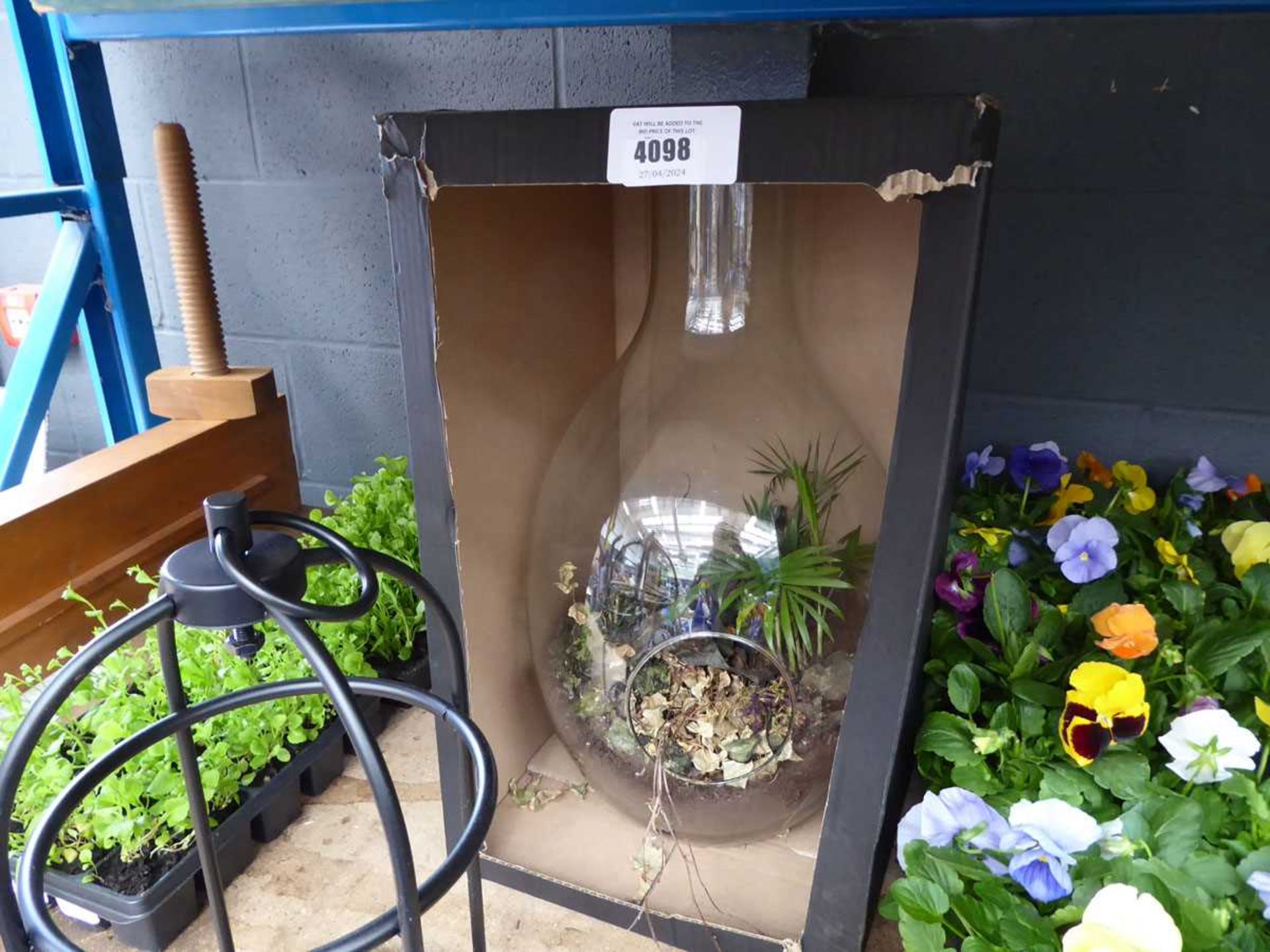 +VAT Solar lantern and plant in bowl