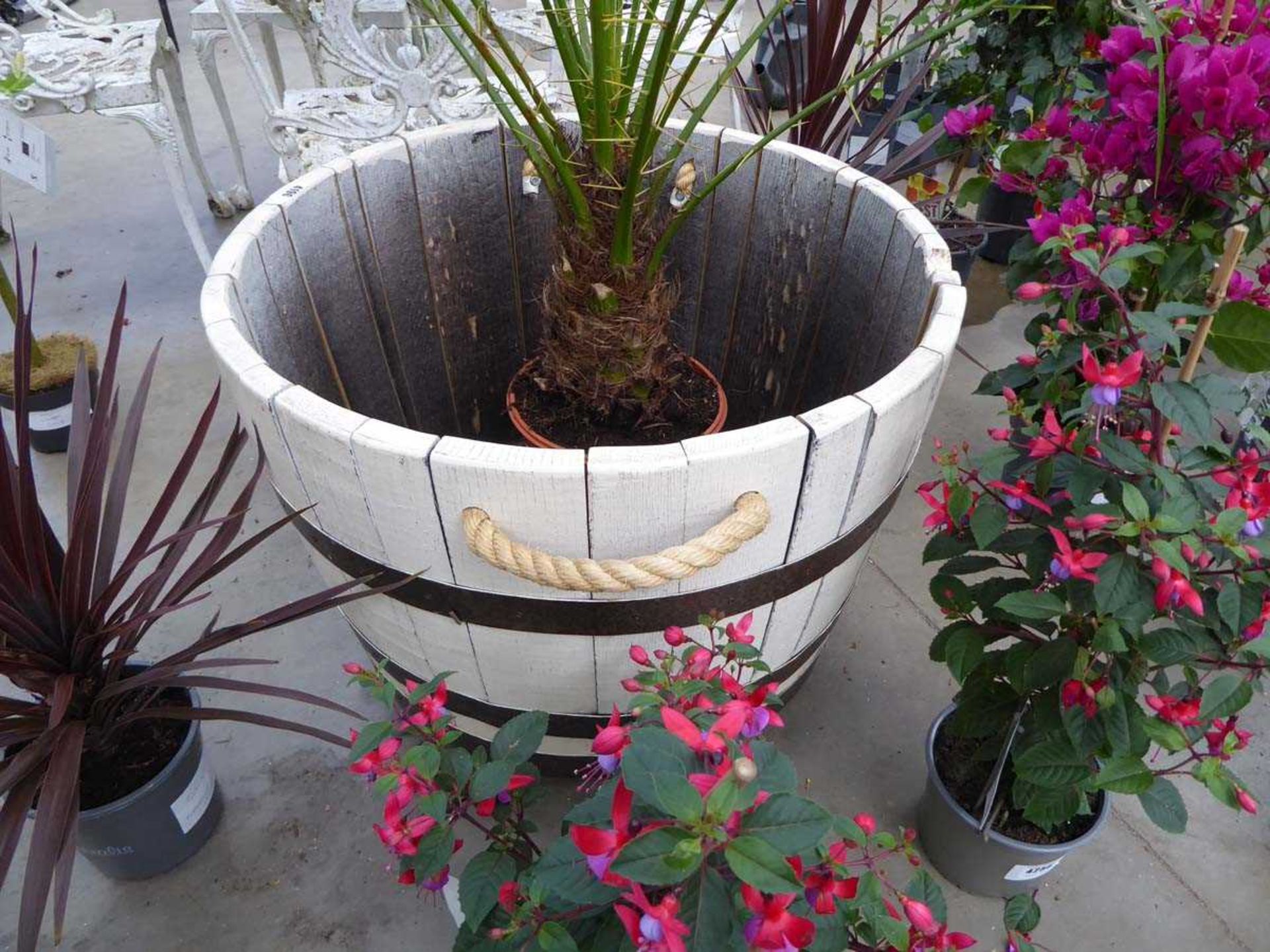 Large cream and brown wooden barrel planter on wheels