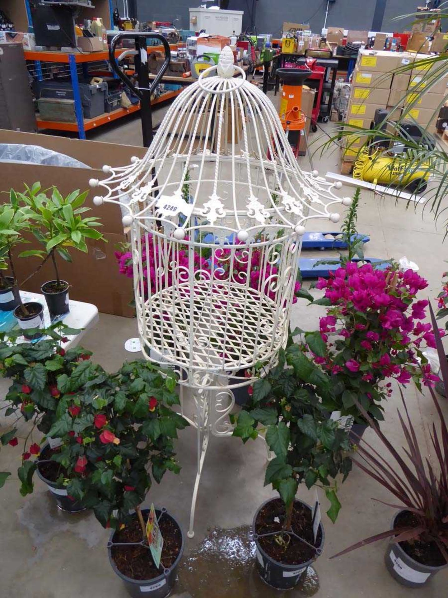 Metal round ornate bird cage on stand