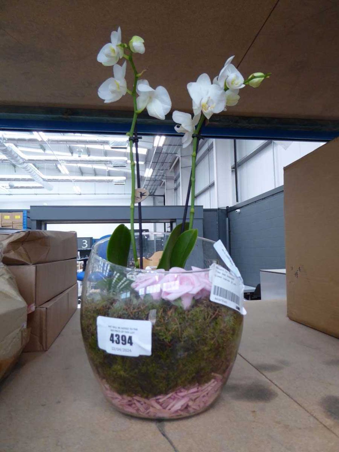 +VAT Artificial orchid broken bowl - Image 2 of 2