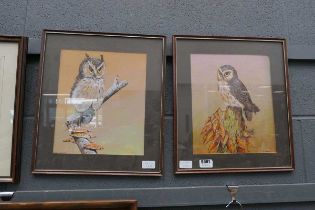 Pair of watercolours of owls